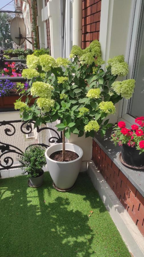 Apartament Przy Galerii Forum Gliwice Witkiewicza Bagian luar foto